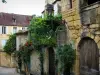 Sarlat-la-Canéda - Houses of the medieval old town with facades decorated with climbing roses, in Périgord