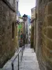 Sarlat-la-Canéda - Toulouse coast and its stone houses, in Périgord