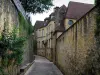 Sarlat-la-Canéda - Narrow street lined with stone walls and houses, in Périgord