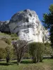 Saussois Rocks - Rock walls, climbing site