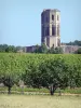 La Sauve-Majeure abbey - Gothic tower of the abbey overlooking a lush landscape 