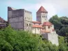 Sauveterre-de-Béarn - Guide tourisme, vacances & week-end dans les Pyrénées-Atlantiques