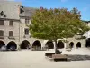 Sauveterre-de-Rouergue - Plaza porticada central con árboles y bancos