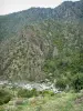 Scala di Santa Regina - Gorges: wild flowers, vegetation and granite rock face dominating the Golo torrent (river)