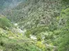 Scala di Santa Regina - Gorges: granite rock and Golo torrent (river)