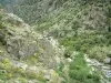 Scala di Santa Regina - Gorges: rocky granite heap with wild flowers, vegetation, trees and Golo torrent (river)