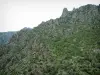 Scala di Santa Regina - Gorges: granite rock with cut crests and vegetation