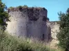 Schloss von Langoiran - Überreste der Burg