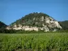Séguret - Casas de la viña y del pueblo situado al pie de una colina