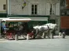 Senlis - Plaats Notre-Dame met een koets met twee witte paarden en huizen van de oude stad