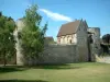 Senlis - King's Garden, bomen, Gallo-Romeinse muur met torens, resten van het kasteel en koninklijke blauwe wolk in de lucht