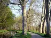 Seuil de Naurouze - Camino a lo largo del canal de alimentación del Canal du Midi en un entorno arbolado