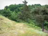 Sítio de Saint-Nazaire - Natureza verde
