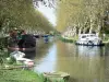 Le Somail - Canal du Midi, Somail port with moored boats, plane trees and towpath