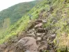Soufrière - Landschap van de Chemin des Dames, pad naar de top van de vulkaan
