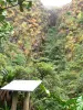 Soufrière - Interpretatie tafel met uitzicht op de aardverschuiving Faujas en vegetatie