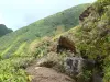 Soufrière - Groene hellingen van de vulkaan