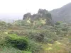 Soufrière - Vegetatie vulkaan