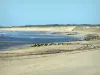 Soulac-sur-Mer - Spiagge di sabbia della località e l'Oceano Atlantico