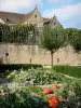 Souvigny priory - Saint-Pierre et Saint-Paul priory church, and pumpkins in the garden of the priory