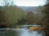 Suisse normande - Vallée de l'Orne : rivière, arbres et forêt