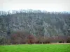 Suisse normande - Vallée de l'Orne : prairie verdoyante (verte), arbres et falaises (parois rocheuses)