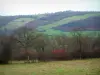 Suisse normande - Arbres et prairies (pâturages)