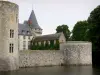 Sully-sur-Loire - Sully-sur-Loire Castillo (fortaleza medieval), bastones (la Sange) y los árboles