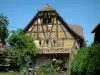 Sundgau - Bomen en oud huis met houten zijkanten (dorp Riespach)