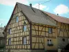 Sundgau - Geel-houten huis (dorp Riespach)