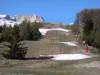 SuperDévoluy - Ski resort: ski trail and trees, in spring; in Dévoluy