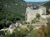 Tarn gorges - Prades castle and terraces overlooking River Tarn; in the town of Sainte-Enimie, in the Cévennes National Park