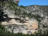 Tarn gorges - Cévennes National Park: limestone cliffs (rock walls) of the Cirque des Baumes rock formations