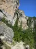 Tarn gorges - Limestone cliffs (rock walls) of the Cirque des Baumes rock formations; in the Cévennes National Park