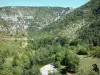 Tarn gorges - Verdant landscape of the Tarn gorges; in the Cévennes National Park