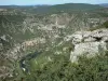 Tarn gorges - View over the Tarn canyon from the belvedere Roc des Hourtous; in the Cévennes National Park