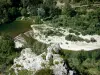 Tarn gorges - Cévennes National Park: view of River Tarn lined by trees