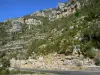 Tarn gorges - Cévennes National Park: rocks and limestone cliffs overlooking the gorges road