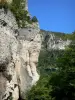 Tarn gorges - Cliffs of the Cirque des Baumes; in the Cévennes National Park
