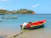 Tartane - Península Caravelle: Bahía de Tartaria salpicada de barcos con vistas a las casas de la punta Bibi (comuna de La Trinité)