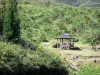 Tévelave Forest - Киоск для пикника в окружении растительности