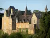 Thévalles castle and mill - Chapel and facades of thge Thévalles castle; in the town of Chémeré-le-Roi