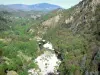 Thueyts - View of River Ardèche lined with greenery; in the Regional Natural Park of the Ardèche Mountains