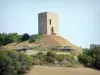Torre de Albon - Torre medieval sobre su terrón rodeada de vegetación