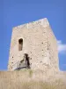 Torre de Albon - Torre medieval sobre su terrón de tierra