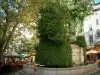 Toulon - Puget square: Trois-Dauphins fountain covered with vegetation, plane trees and cafe terraces