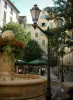 Toulon - Flower-bedecked fountain, lamppost, trees and houses of the old town