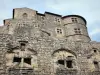 Tournon-sur-Rhône - Chateau de Tournon