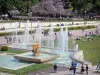 Trocadéro - Jets d'eau des jardins du Trocadéro