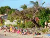 Les Trois-Îlets - Relaxing on the sandy beach of Anse Mitan